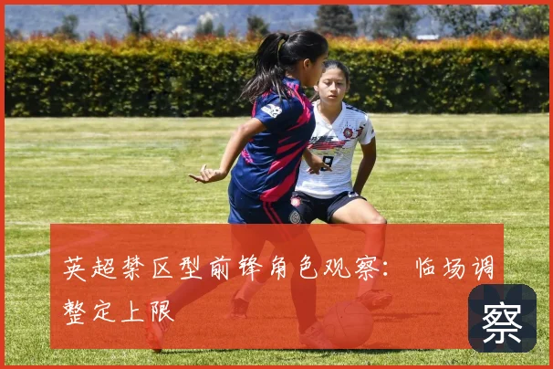 英超禁区型前锋角色观察:临场调整定上限
