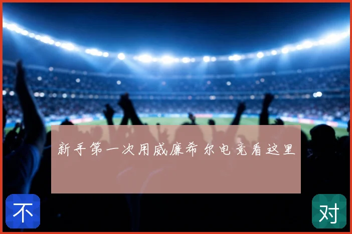 新手第一次用威廉希尔电竞看这里